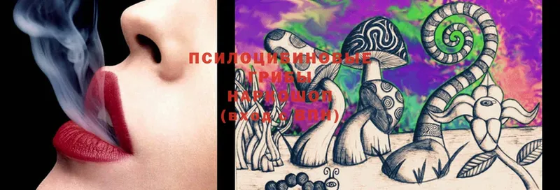 Галлюциногенные грибы MAGIC MUSHROOMS  Артёмовск 